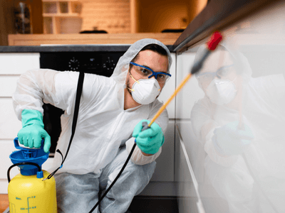About Orchard Hills Rat Control - rat control experts in Orchard Hills